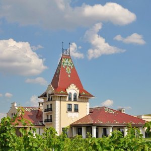 vinarija-zvonko-bogdan-04